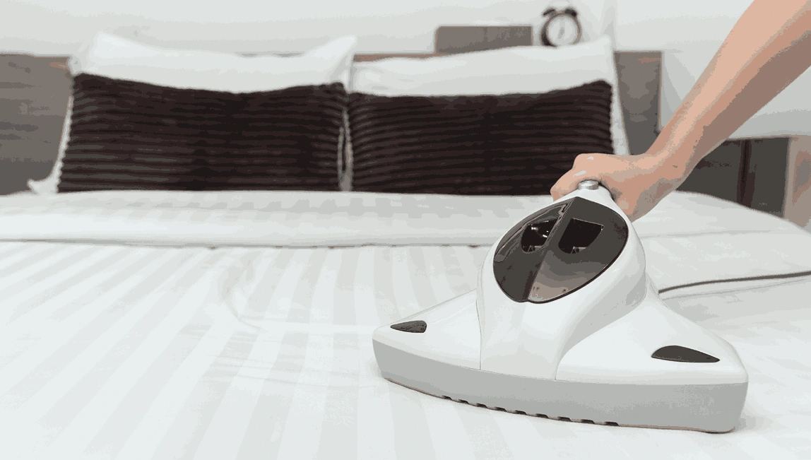 Professional Mattress Cleaning Glen Huntly